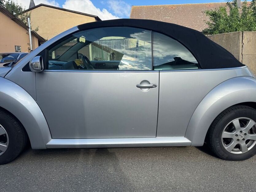 Beetle