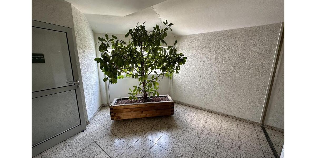 Etagenwohnung Gevelsberg - 2.5 Zimmer, 54 m&sup2;, 480&euro; | Angebot:24979225