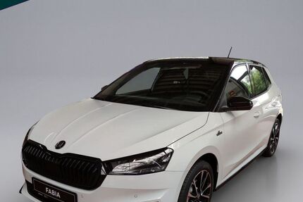 Skoda Fabia 3.000 km 26.790 &euro; Emmendingen 79312