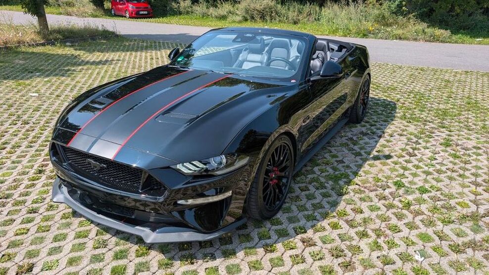 Mustang