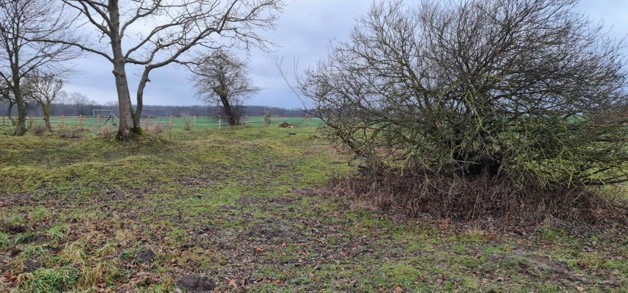 Ca 51400m2 Acker und Weideland nahe Rostock - Grundstück Thulendorf | Angebot:19800536