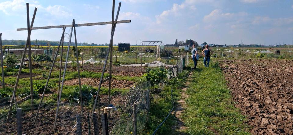 Grundstück Bornheim - 200&euro; | Angebot:26152652