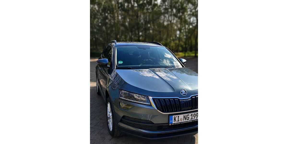 Skoda Karoq 86.700 km 20.990 &euro; Kiel 24143