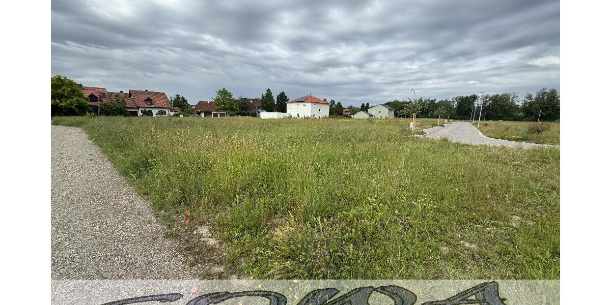 Baugrundstück Neuburg Heinrichsheim ohne Bauzwang - Ein Objekt von Ihrem Immobilienpartner SOWA Immobilien und Finanzen - Grundstück Neuburg | Angebot:27143414