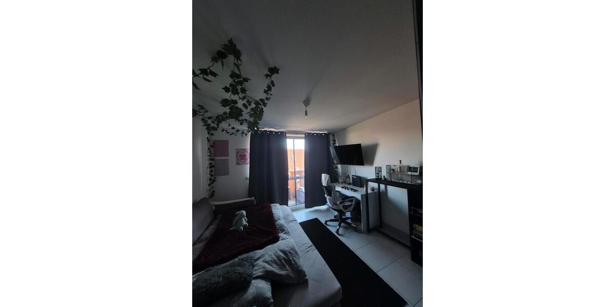 Etagenwohnung Greifswald - 1 Zimmer, 23 m&sup2;, 392&euro; | Angebot:26404678