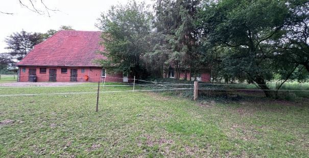 Historischer Niedersachsen- Bauernhof in Fachwerk mit Pferdeboxen u. tollen Eichenbaumbestand - Gewerbeobjekt Diepenau | Angebot:25594889