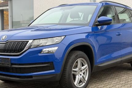 Skoda Kodiaq 189.000 km 14.590 € Mannheim 68307