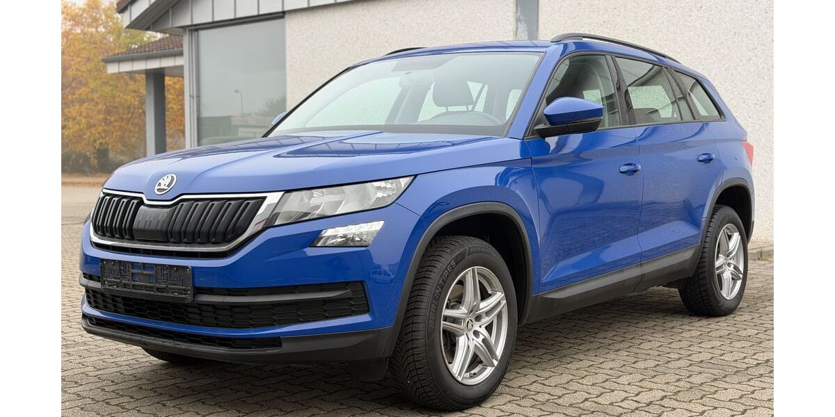 Skoda Kodiaq 189.000 km 14.590 € Mannheim 68307