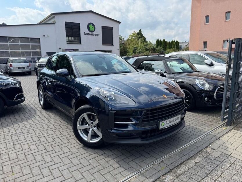 Macan