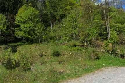 Grundstück zu verkaufen in Schliersee 445.000 € 5220 m² zimmer