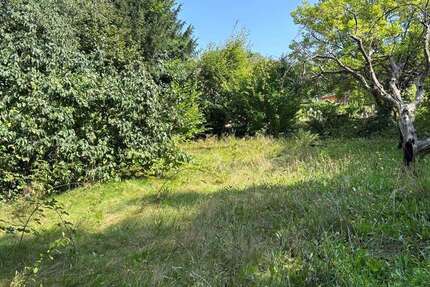 Grundstück zu verkaufen in Zweibrücken 165.000 € 1100 m² zimmer