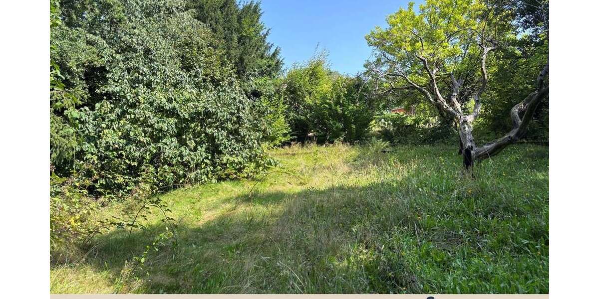 Grundstück zu verkaufen in Zweibrücken 165.000 € 1100 m² zimmer