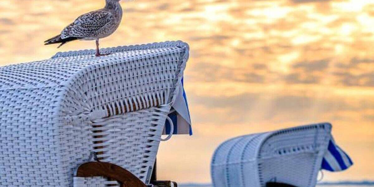 Grundstück Scharbeutz Haffkrug - 239.000&euro; | Angebot:26106475