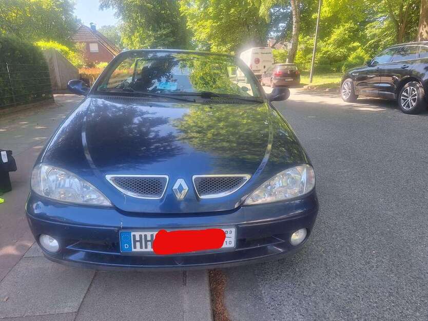 Megane