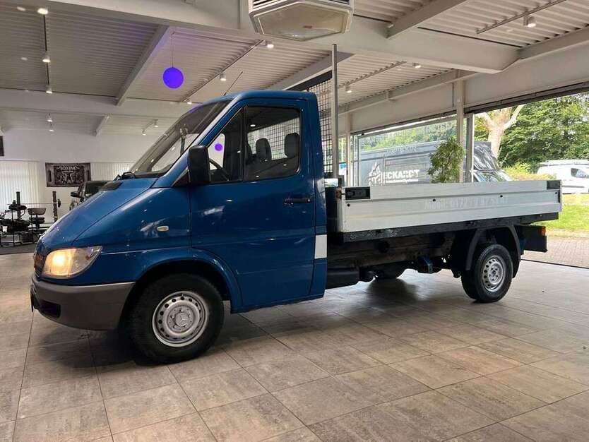 Sprinter