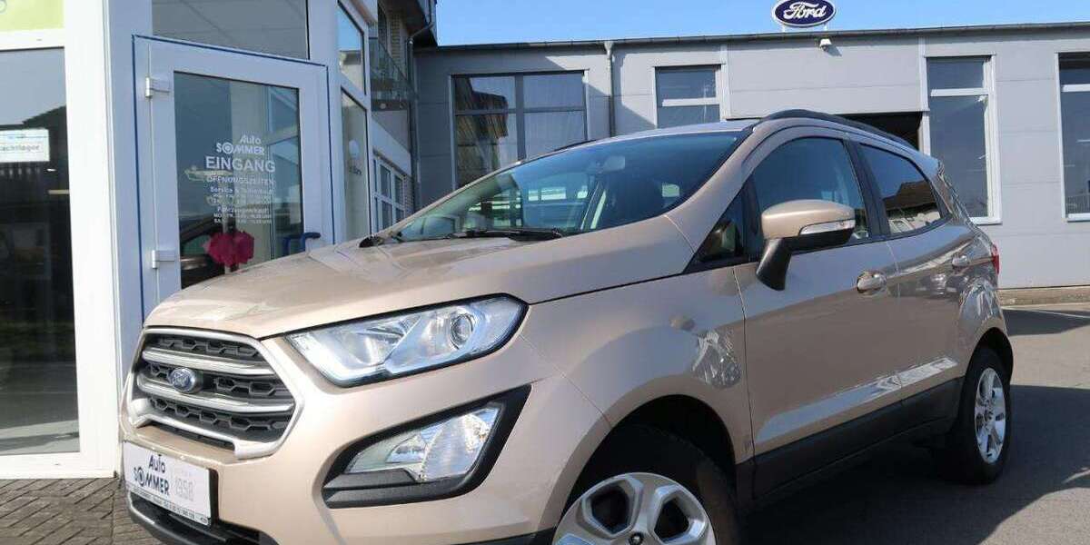 Ford EcoSport 114.991 km 11.950 &euro; Brakel 33034