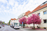 BAUGENEHMIGUNG INKLUSIVE! FREIES BAUGRUNDSTÜCK FÜR EIN MEHRFAMILIENHAUS MIT 4 WOHNEIHEITEN! - Grundstück Falkensee Falkenhain | Angebot:23739219