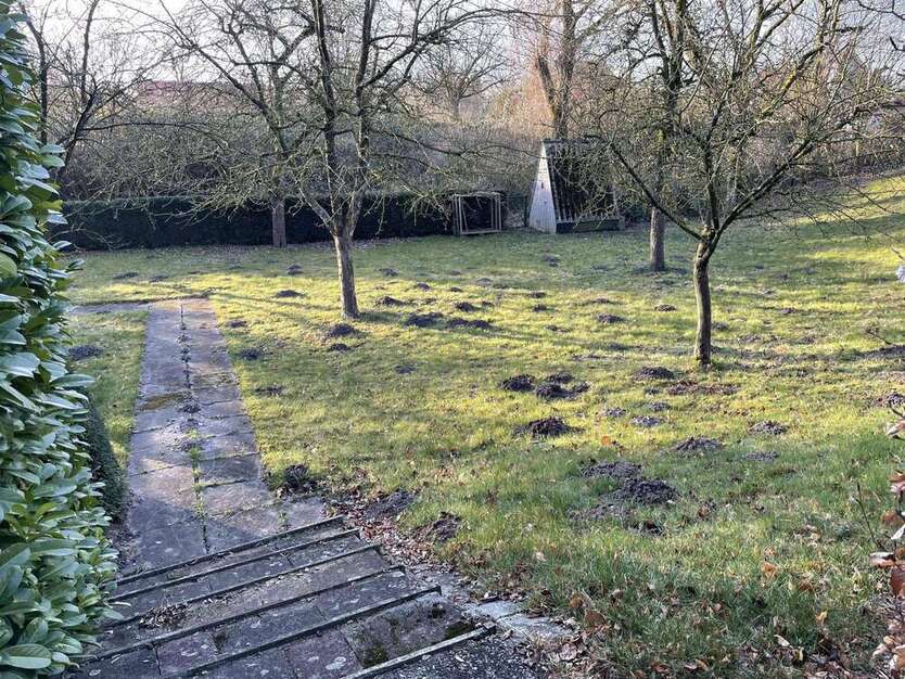 Grundstück zu verkaufen in Coesfeld 175.000 € 728 m²