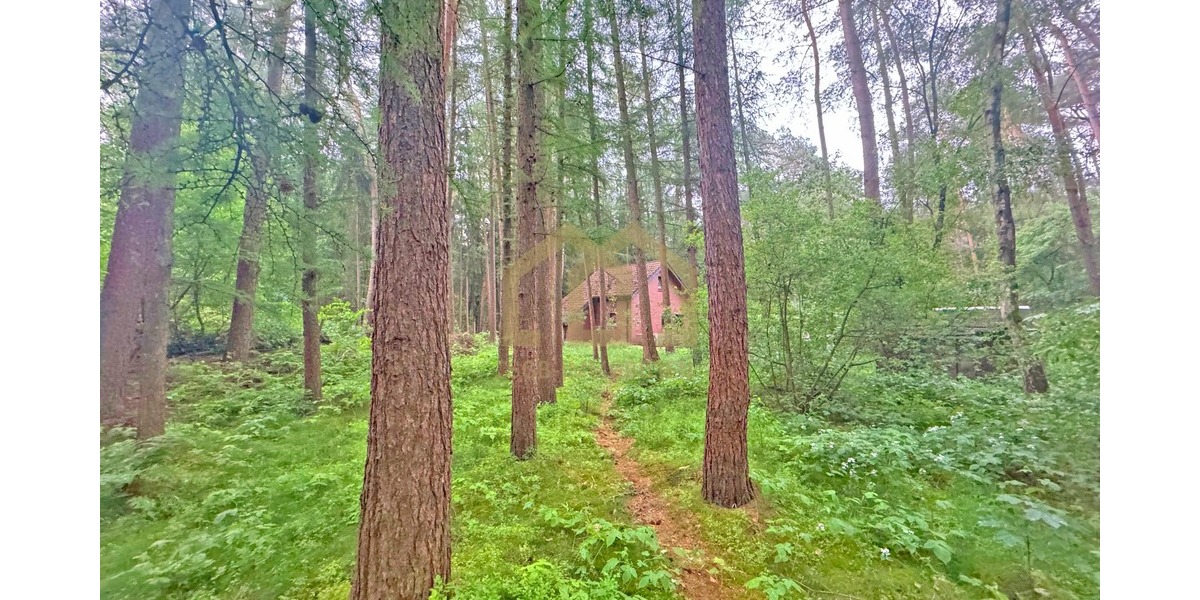 6.503 m² Naturparadies an der Hunte – Wochenendhaus in traumhafter Waldlage - Einfamilienhaus Wildeshausen | Angebot:26801669