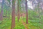 6.503 m² Naturparadies an der Hunte – Wochenendhaus in traumhafter Waldlage - Einfamilienhaus Wildeshausen | Angebot:26801669