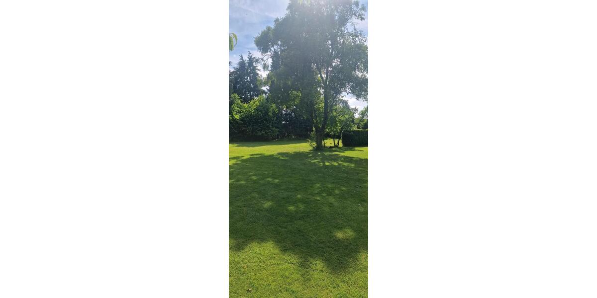 Einfamilienhaus Ibbenbüren - 4 Zimmer, 100 m&sup2;, 470.000&euro; | Angebot:26965492