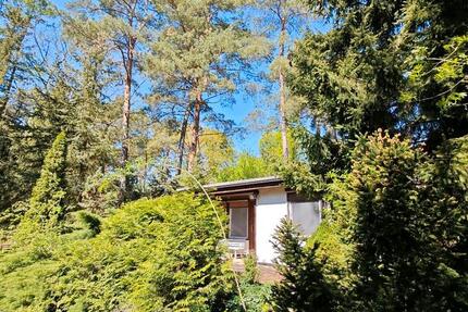 Haus Schorfheide - 30.000&euro; | Angebot:26886107