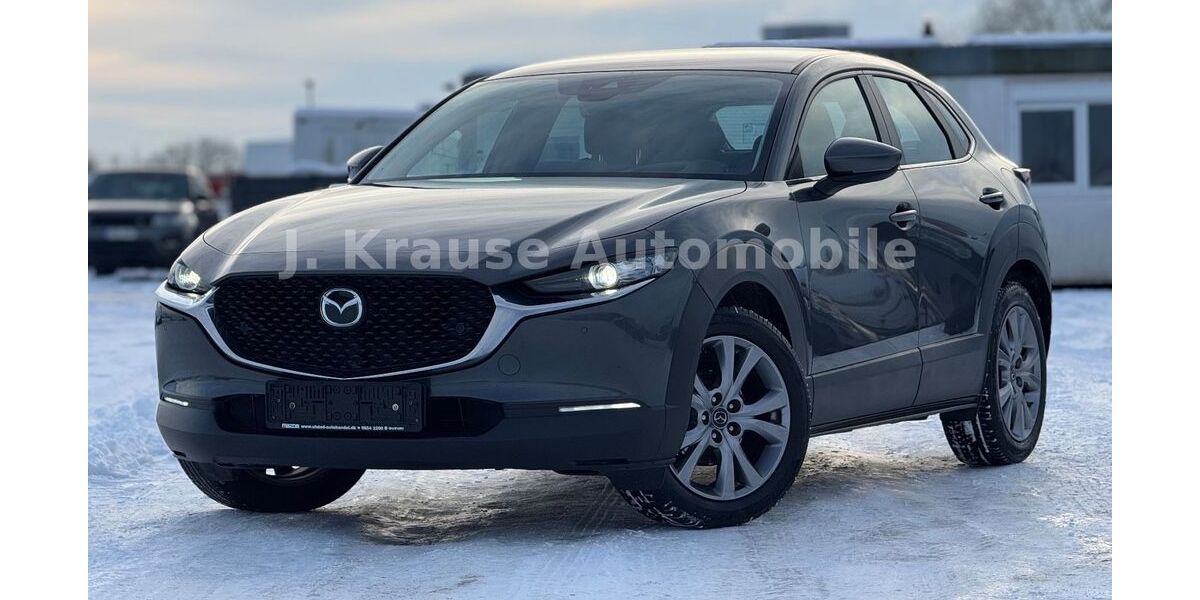 Mazda CX-3 95.263 km 18.250 &euro; Hammah 21714