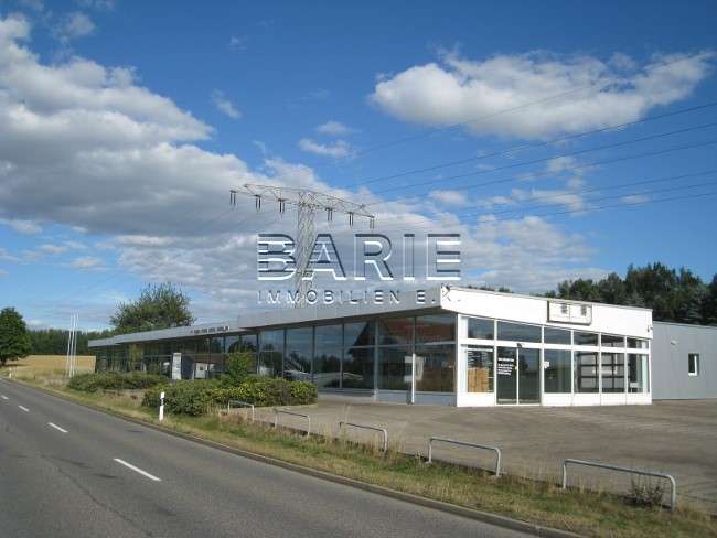 Einzelhandel in Hainichen 3.800 € 1311 m²