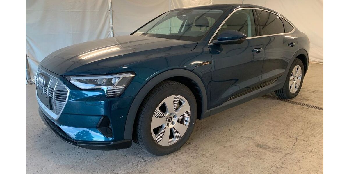 Audi e-tron 31.500 km 24.990 &euro; Steinbach-Hallenberg OT Herges-Hallenberg 98587