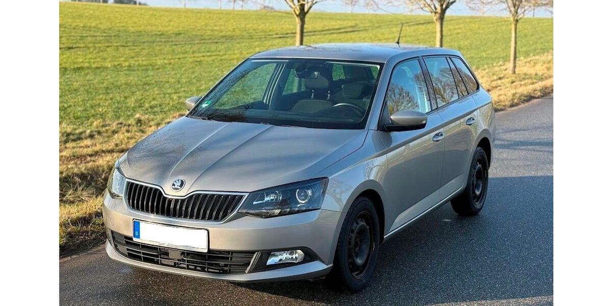 Skoda Fabia 189.000 km 6.990 &euro; Dorf Mecklenburg 23972
