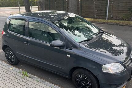 VW Fox
