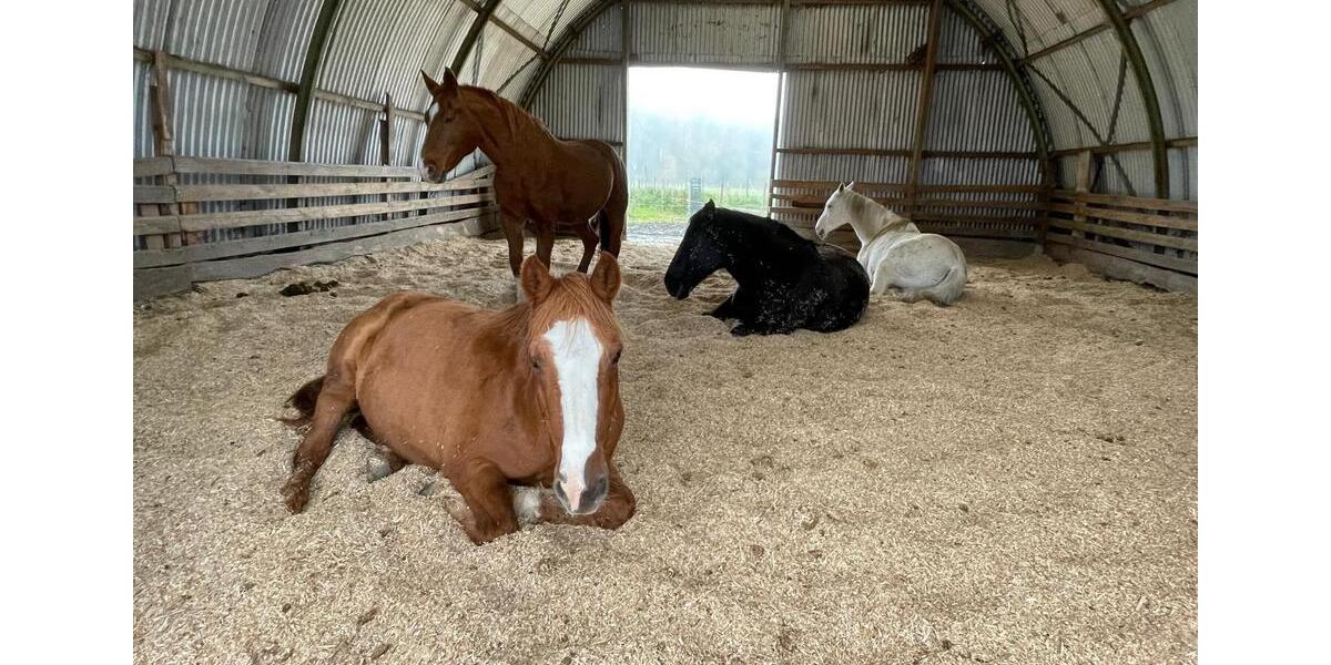 Erdgeschoßwohnung Rosendahl - 2 Zimmer, 55 m&sup2;, 670&euro; | Angebot:25932999