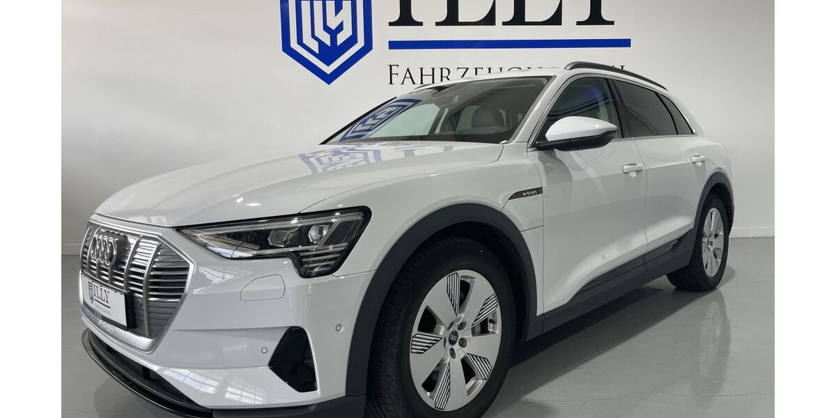 Audi e-tron 49.862 km 29.950 &euro; Hatten | Sandkrug 26209