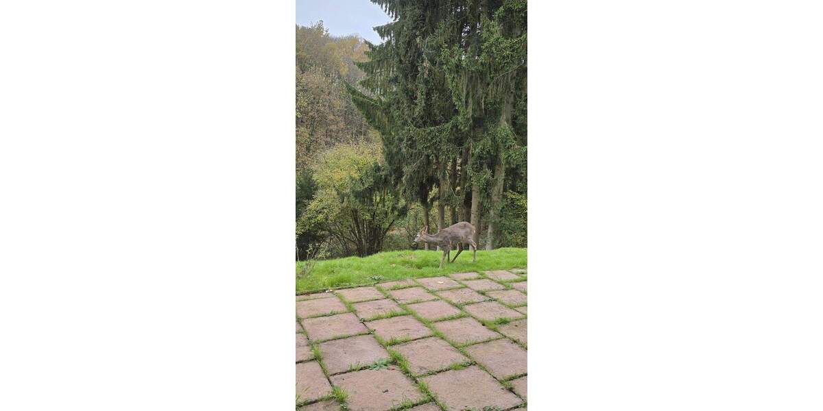 Mehrfamilienhaus, Wohnhaus Bad Soden Altenhain - 4 Zimmer, 90 m&sup2;, 800&euro; | Angebot:25274928