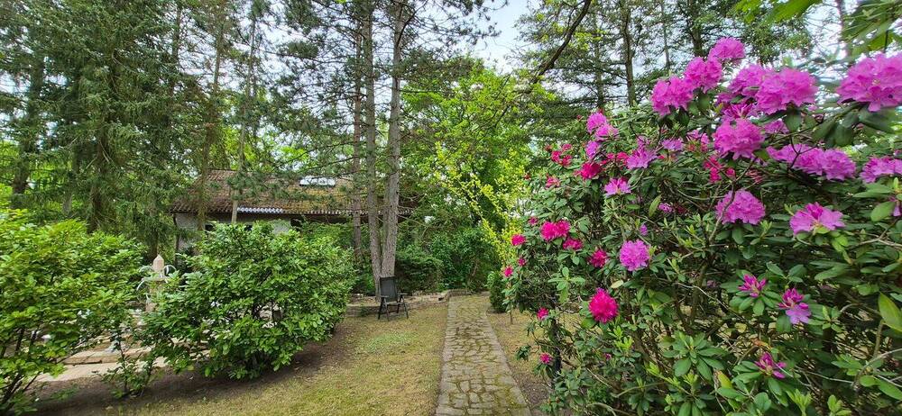 Charmantes EFH mit viel Liebe zum Detail auf individuellem Grundstück - Einfamilienhaus Gartow Nienwalde | Angebot:26756142