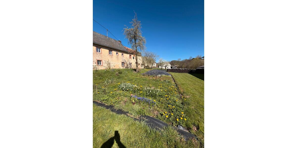 Bauernhaus, Landhaus Rittersdorf - 9 Zimmer, 149 m&sup2;, 980&euro; | Angebot:26088854
