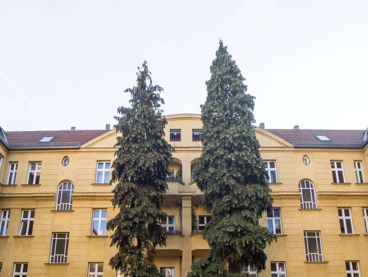 Wohnung zum Kaufen in Berlin 195.000 € 52.5 m²