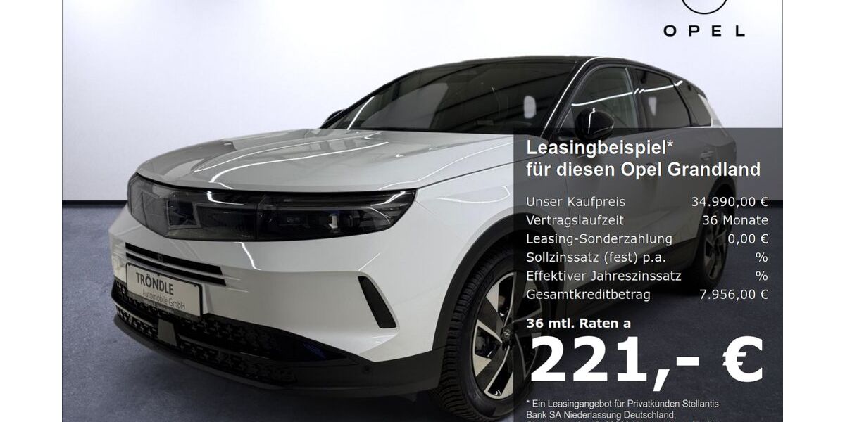 Opel Grandland (X) 3.900 km 34.990 &euro; Lörrach 79541