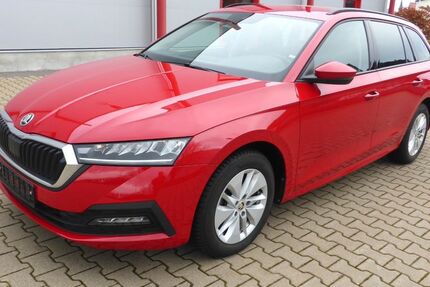 Skoda Octavia 29.820 km 24.890 &euro; Elze 31008