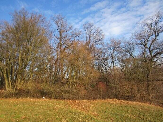 Grundstück Widdern - 25.000&euro; | Angebot:25700084