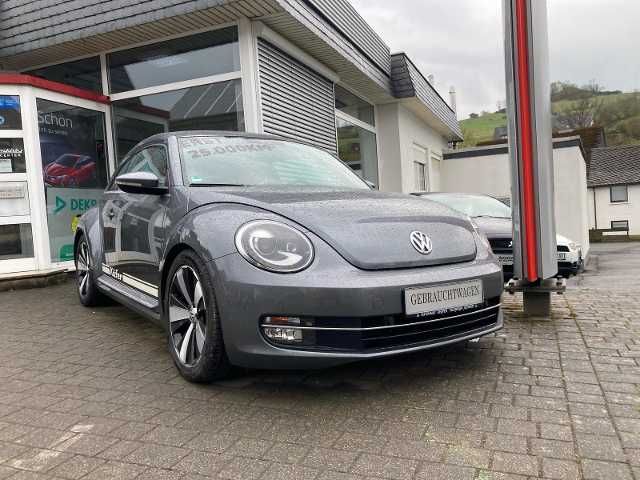 Beetle