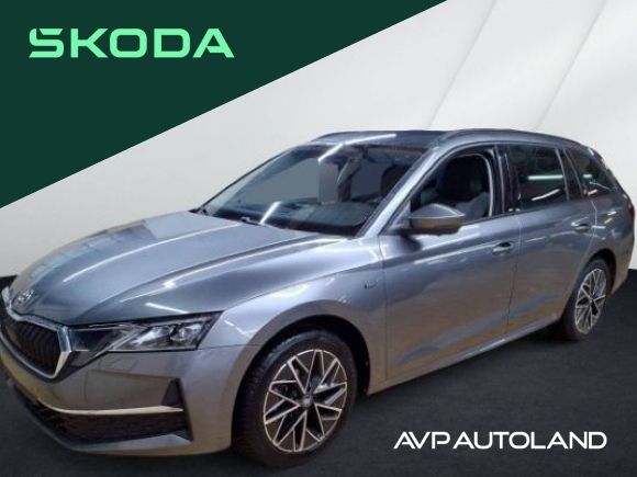 Skoda Octavia 28.470 km 31.630 &euro; Regen 94209
