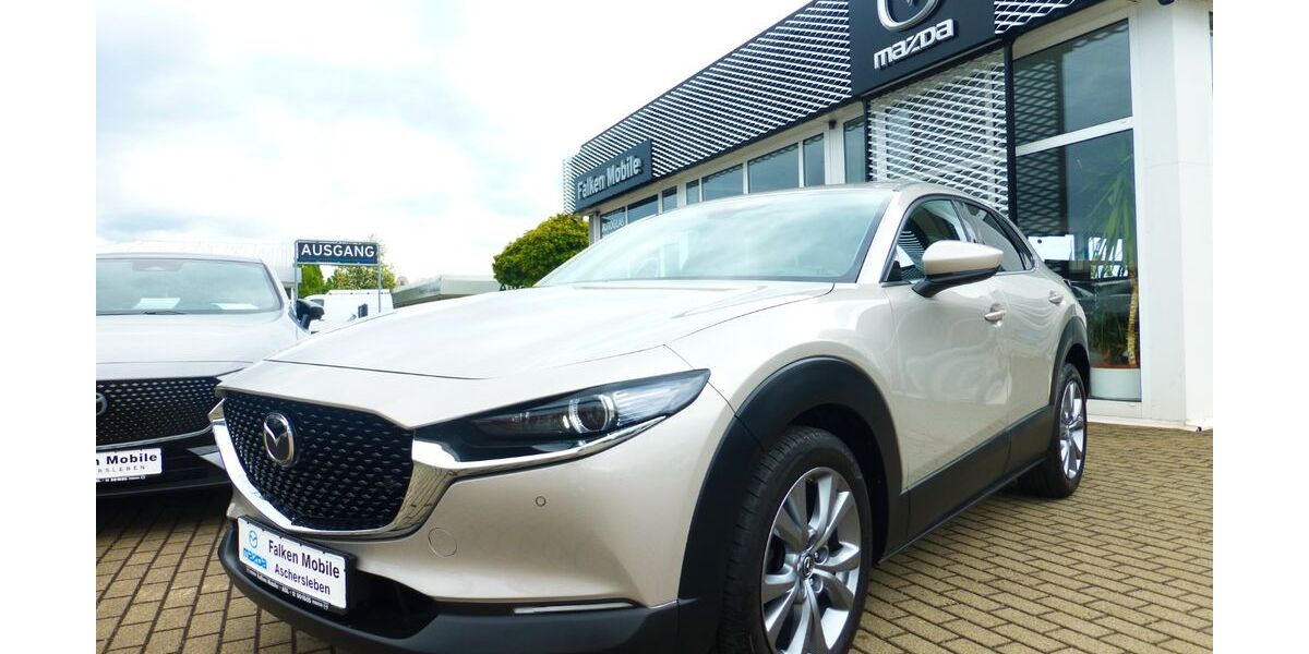 Mazda CX-30 124.634 km 17.990 &euro; Aschersleben 06449