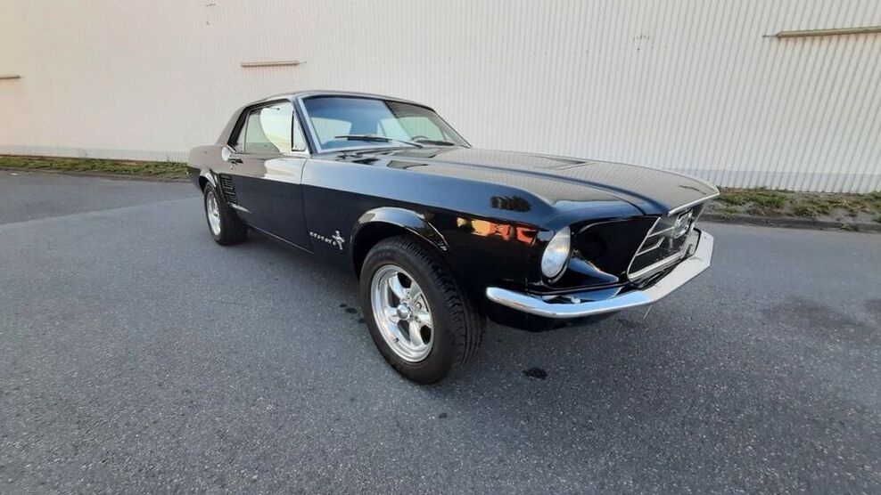 Mustang