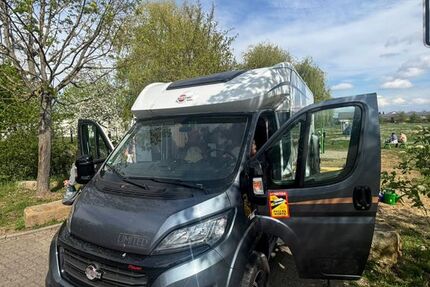 Fiat Ducato 44.500 km 62.900 &euro; Herxheim 76863