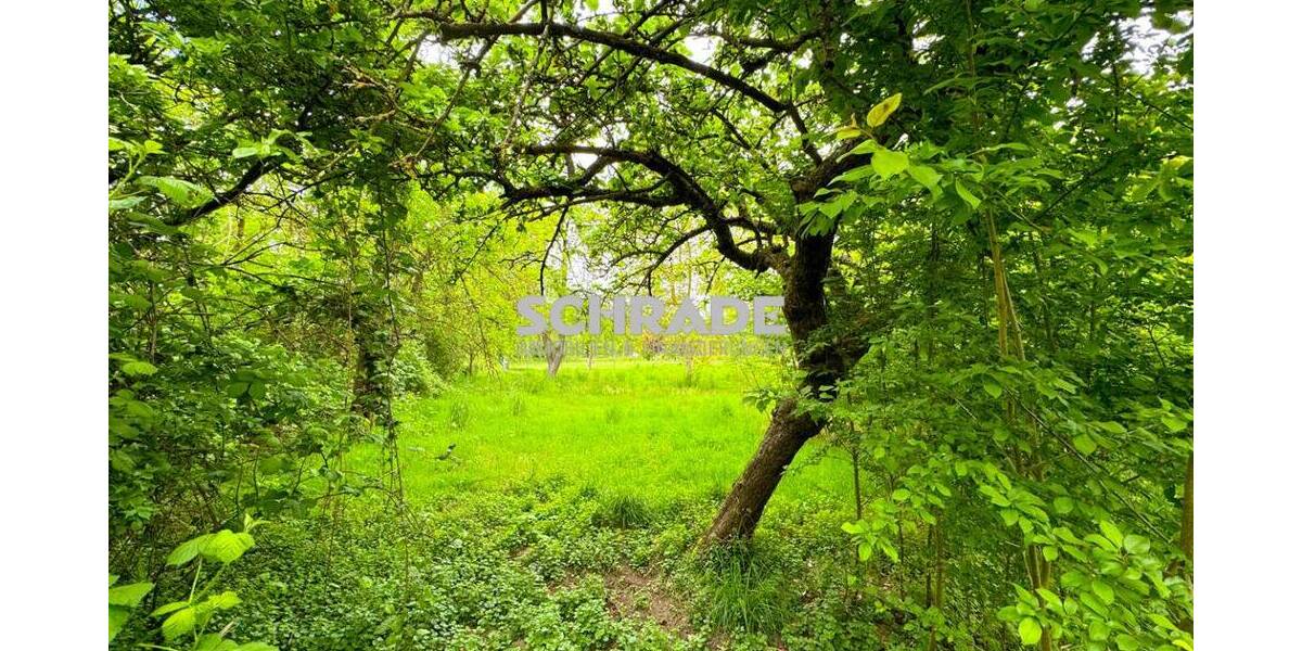 Einfamilienhaus Seehausen Schönberg - 4 Zimmer, 96 m&sup2;, 125.000&euro; | Angebot:23980076