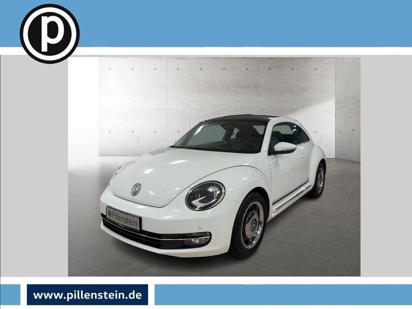 Beetle