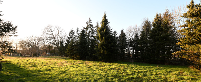 Grundstück Lintig Lintig - 190.000&euro; | Angebot:25676065