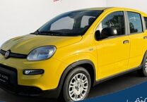 Gebrauchtwagen Fiat Panda