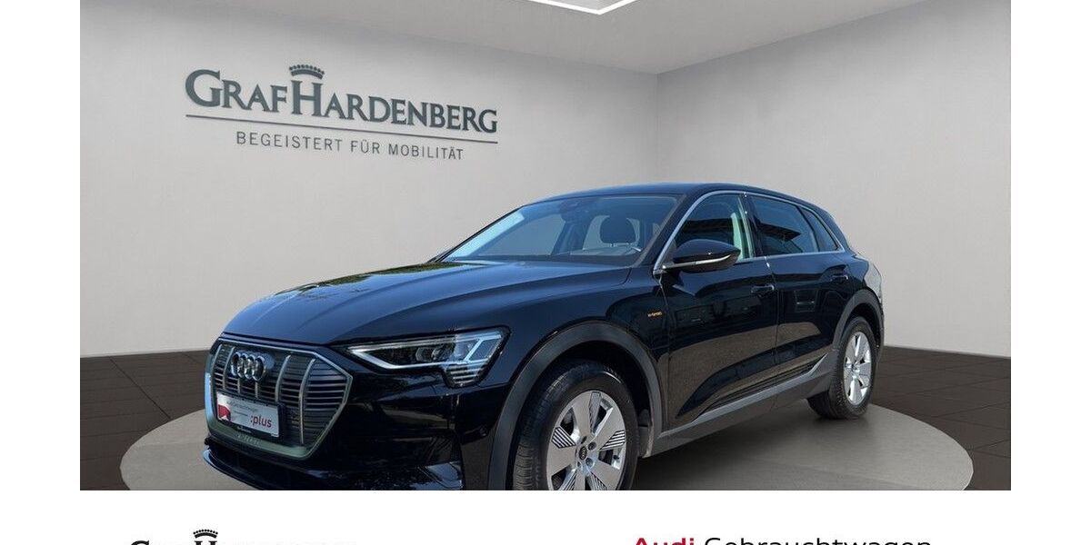 Audi e-tron 32.600 km 29.444 &euro; Lahr 77933